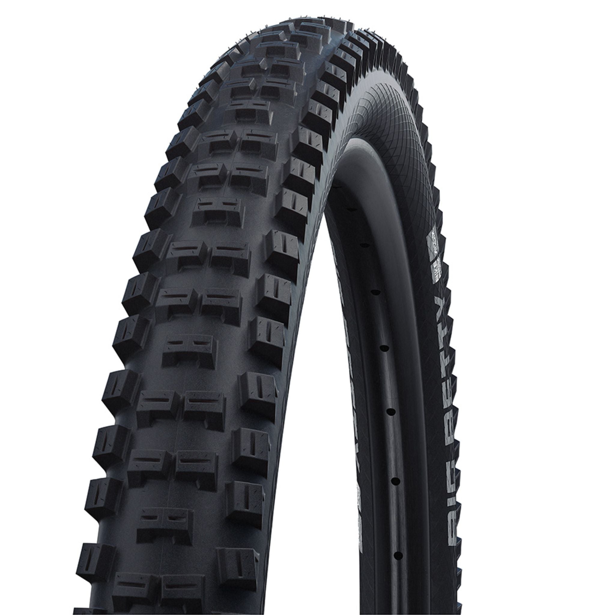 Schwalbe Big Betty MTB Tyre