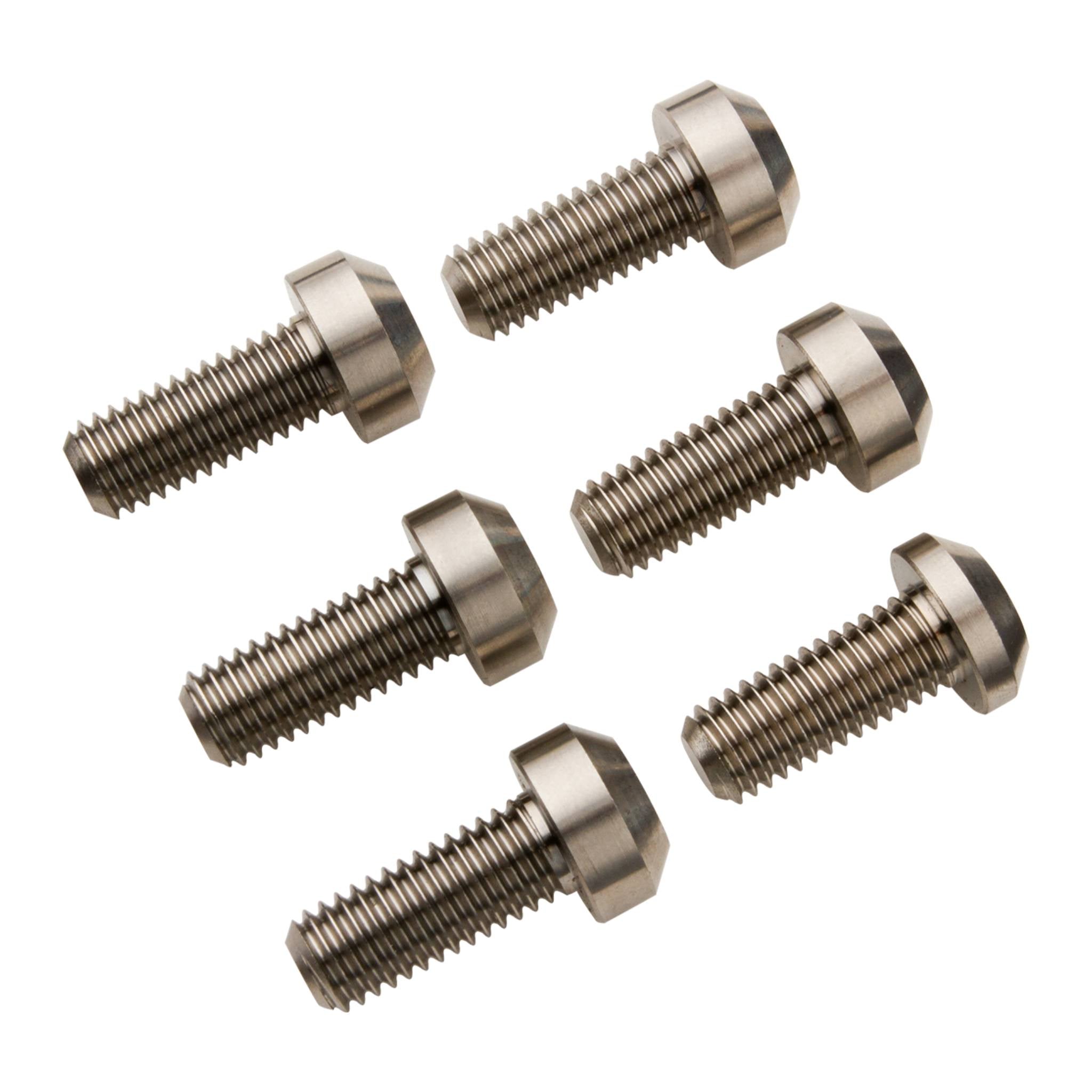 Burgtec Santa Cruz Titanium E-bike Motor Bolts