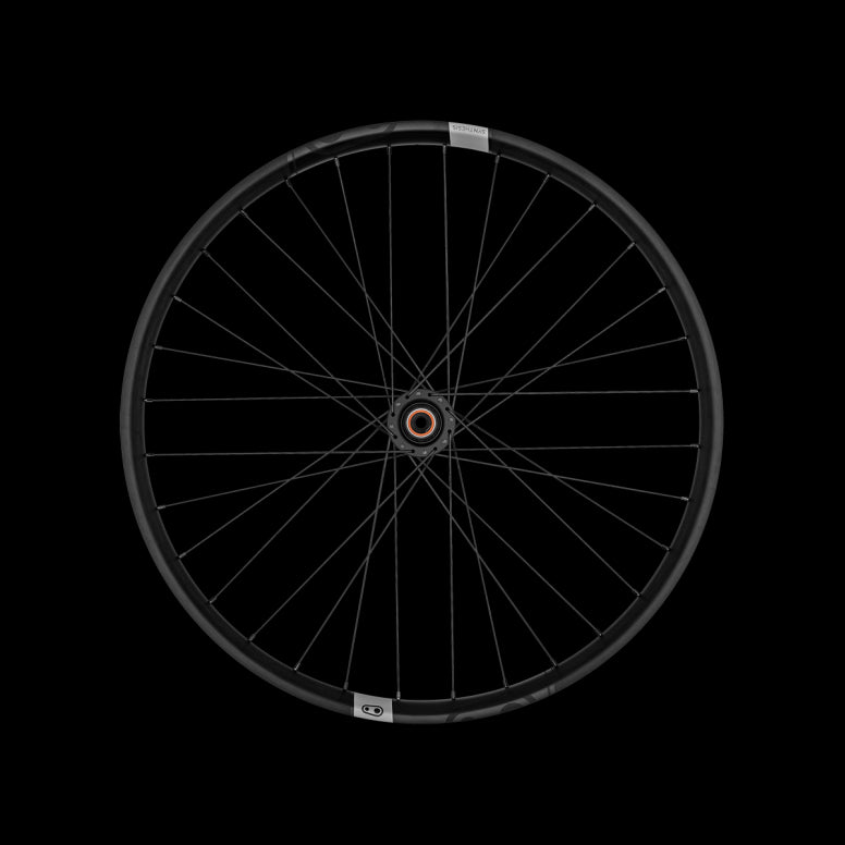 Synthesis Alloy E-MTB Rear Wheel