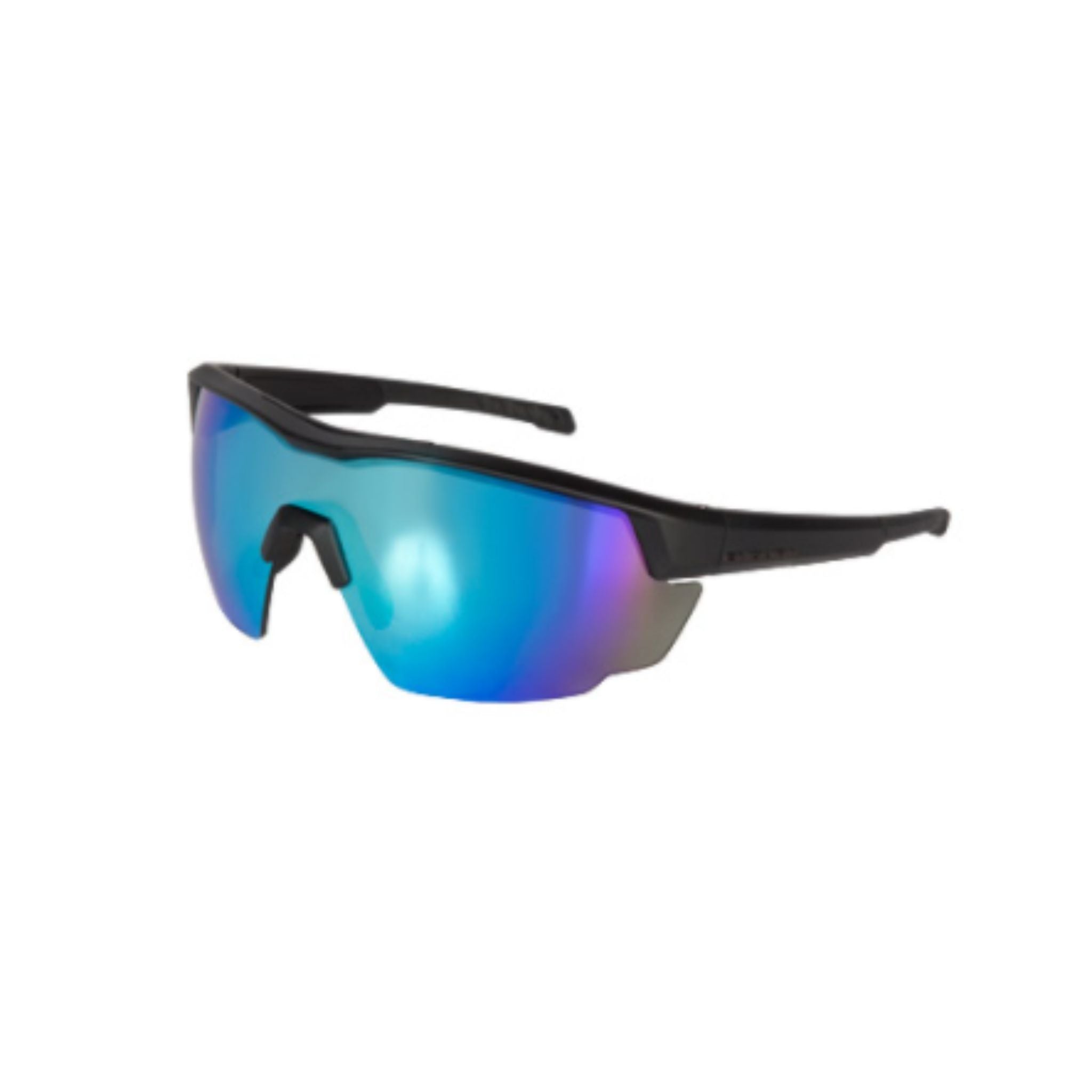 Endura FS260-Pro Glasses