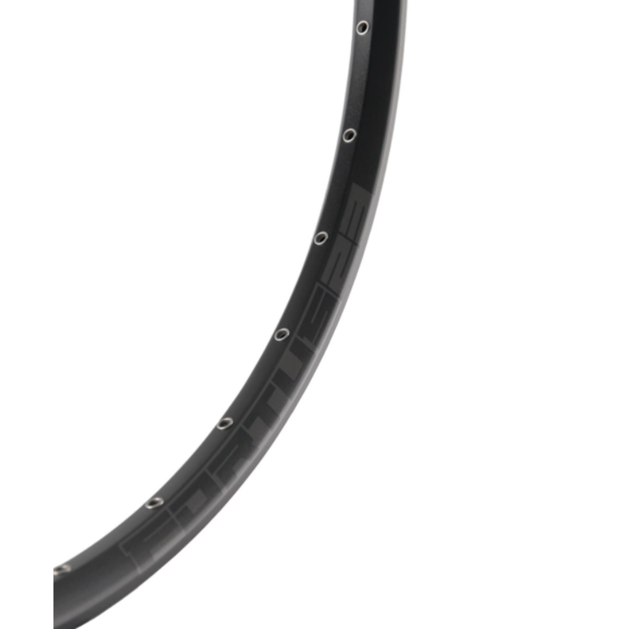 Hope Fortus 29" Rim